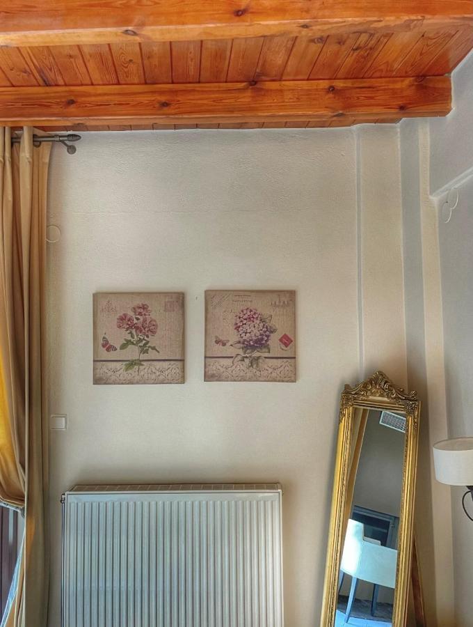 Xenonas Vasilikou Hotel Valtesziníko Kültér fotó